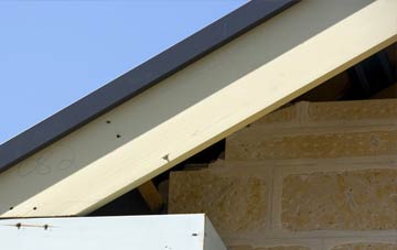 Tirabad fascia repairs