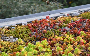 the cost of Tirabad green roof installation