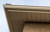 free Tirabad fascia quotes
