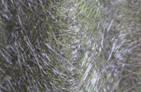 Tirabad fibreglass roof work